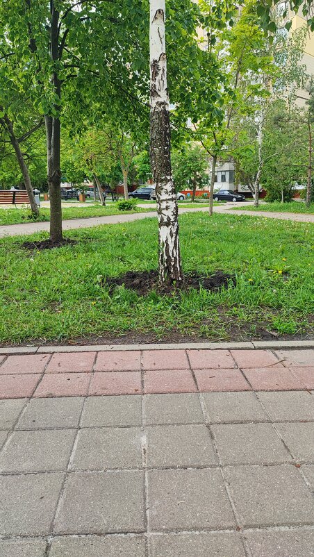 ... - Сергей Тимоновский