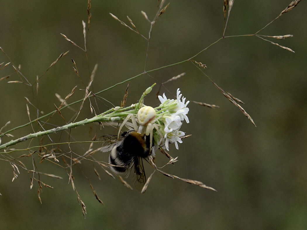 Кончен бал... - Aleksandr Gal