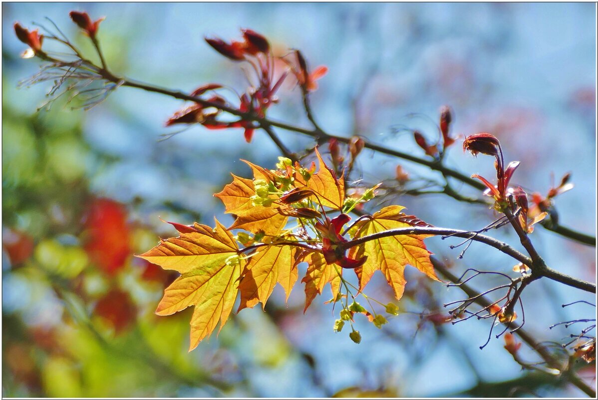 ЭТЮД... - Elvira E. ЭТЮД... - Elvira E.
