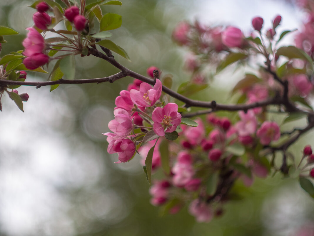 ___ - Yuriy V ___ - Yuriy V