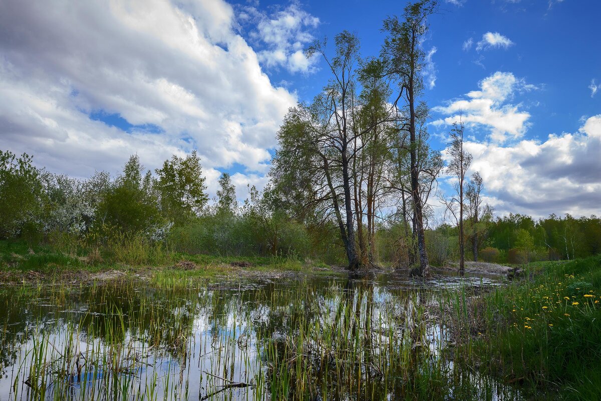 Талые воды... - Влад Никишин