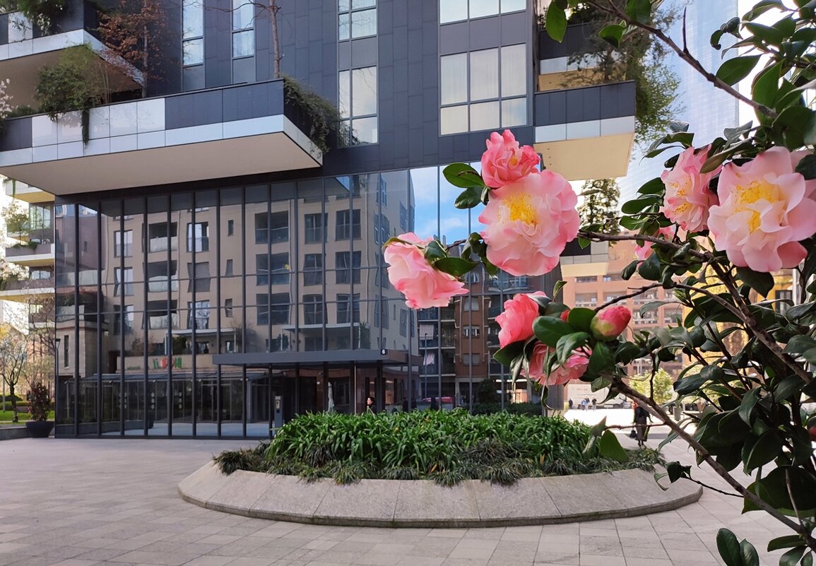 Милан небоскребы Bosco Verticale Вертикальный лес - Civetta *** Милан небоскребы Bosco Verticale Вертикальный лес - Civetta ***