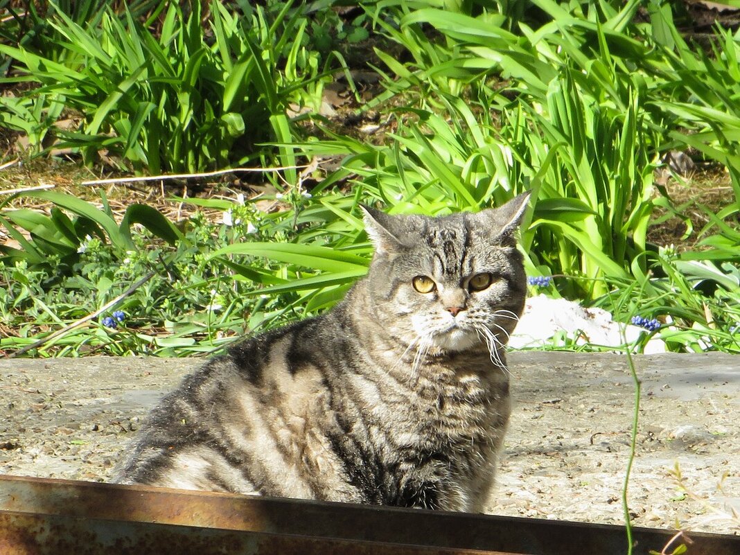 Утро было не доброе - Лариса С. Утро было не доброе - Лариса С.