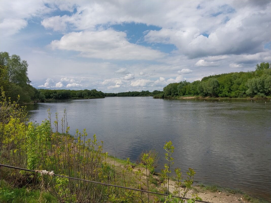 р.Ока - Tarka р.Ока - Tarka