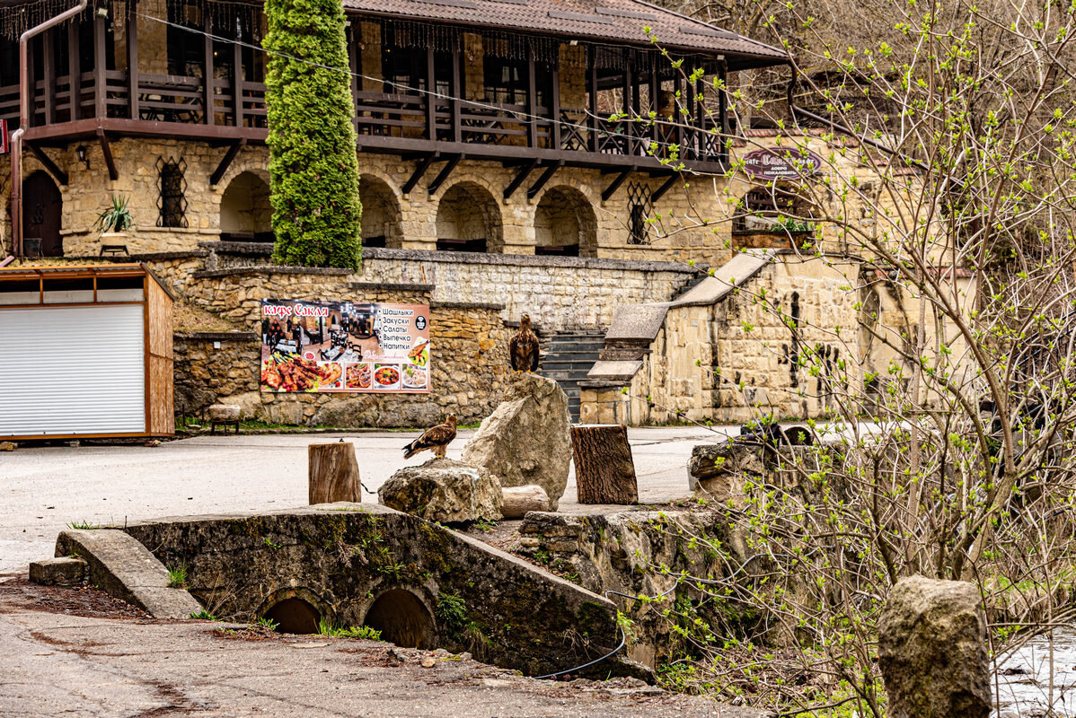 «Замок Коварства и Любви» - Дмитрий Лупандин