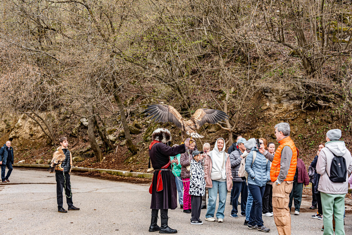 *** - Дмитрий Лупандин
