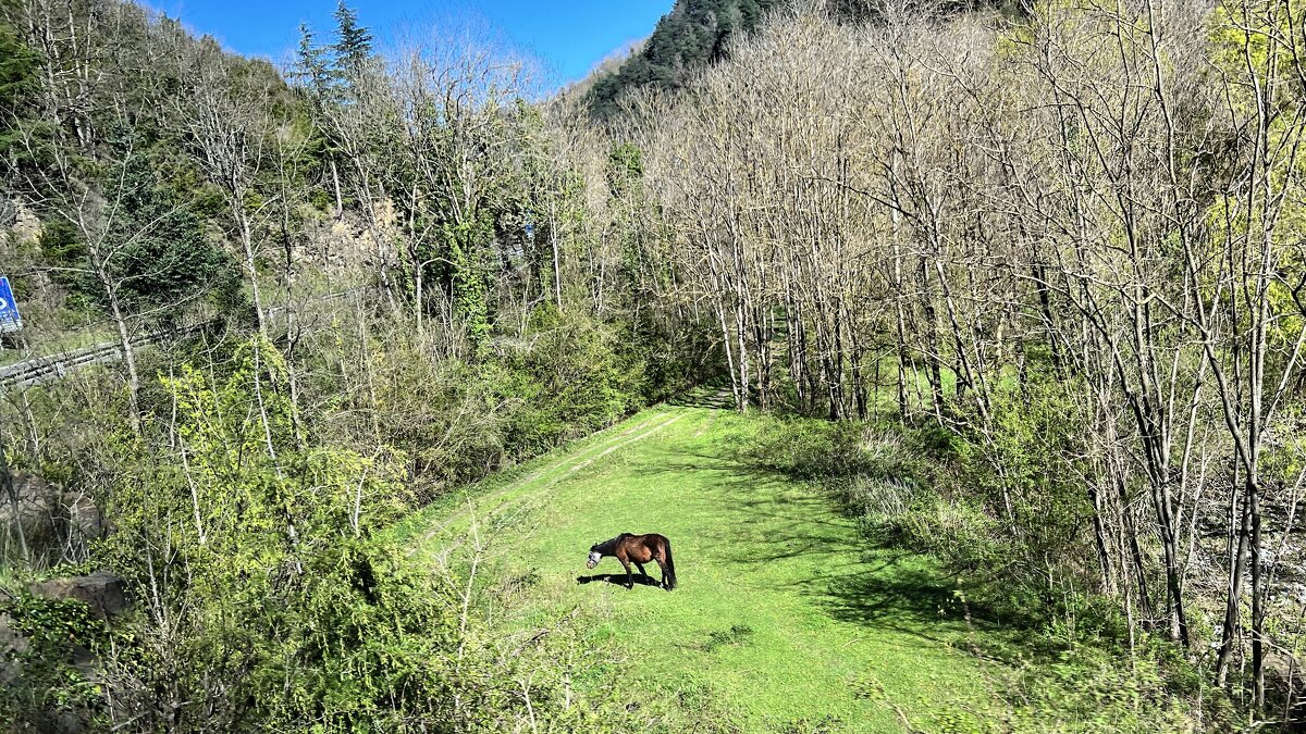 Мир Природы / Natural World - Мир, Природы, Natural, World - "The Natural World" Александер