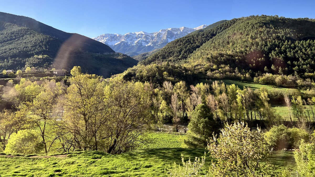 Мир Природы / Natural World - Мир, Природы, Natural, World - "The Natural World" Александер Мир Природы / Natural World - Мир, Природы, Natural, World - "The Natural World" Александер