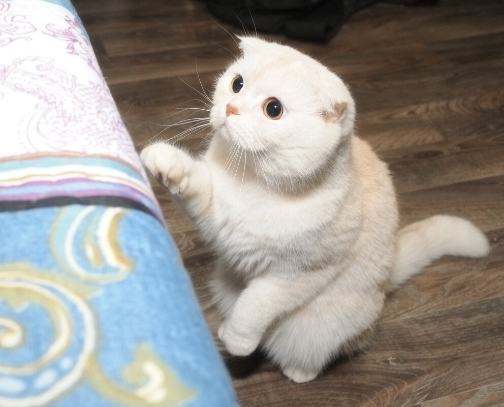 Кто здесь? - Сергей Сергеев