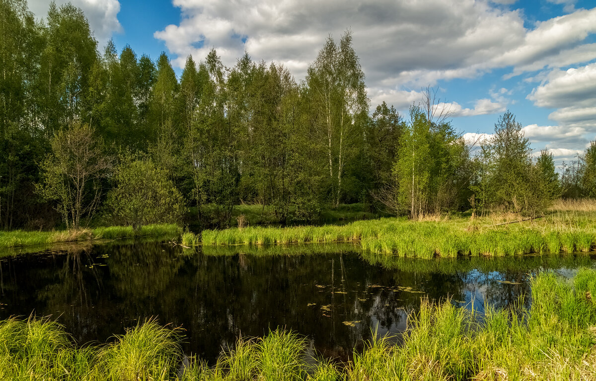 Однажды в Мае 5 - Андрей Дворников