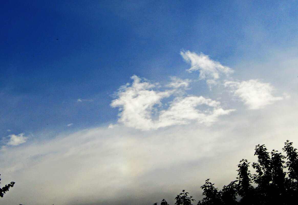 Фантазии майского неба - Антонина Балабанова