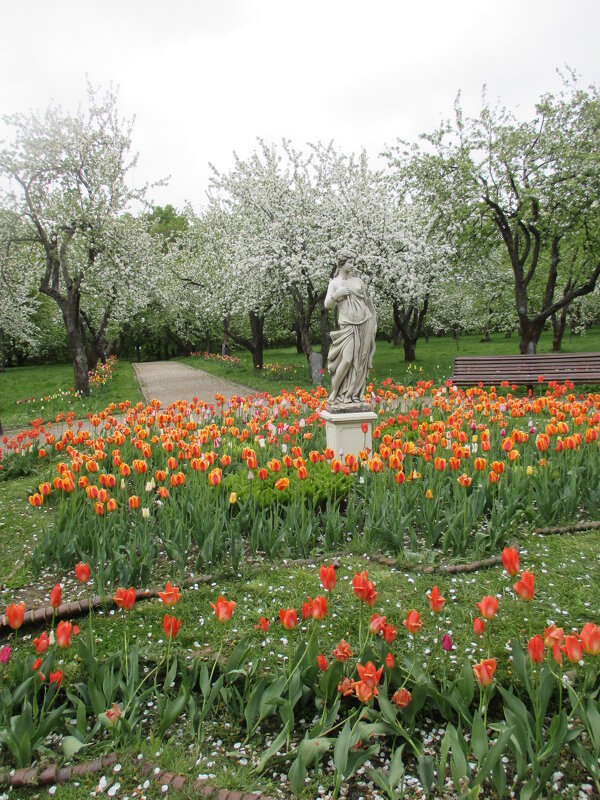 Коломенское - Маера Урусова Коломенское - Маера Урусова