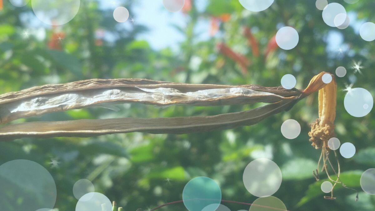 111 (134) - СТРЕН 