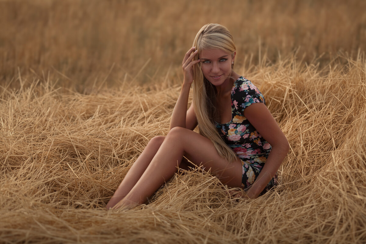 Девушка в поле - Дмитрий Булатов