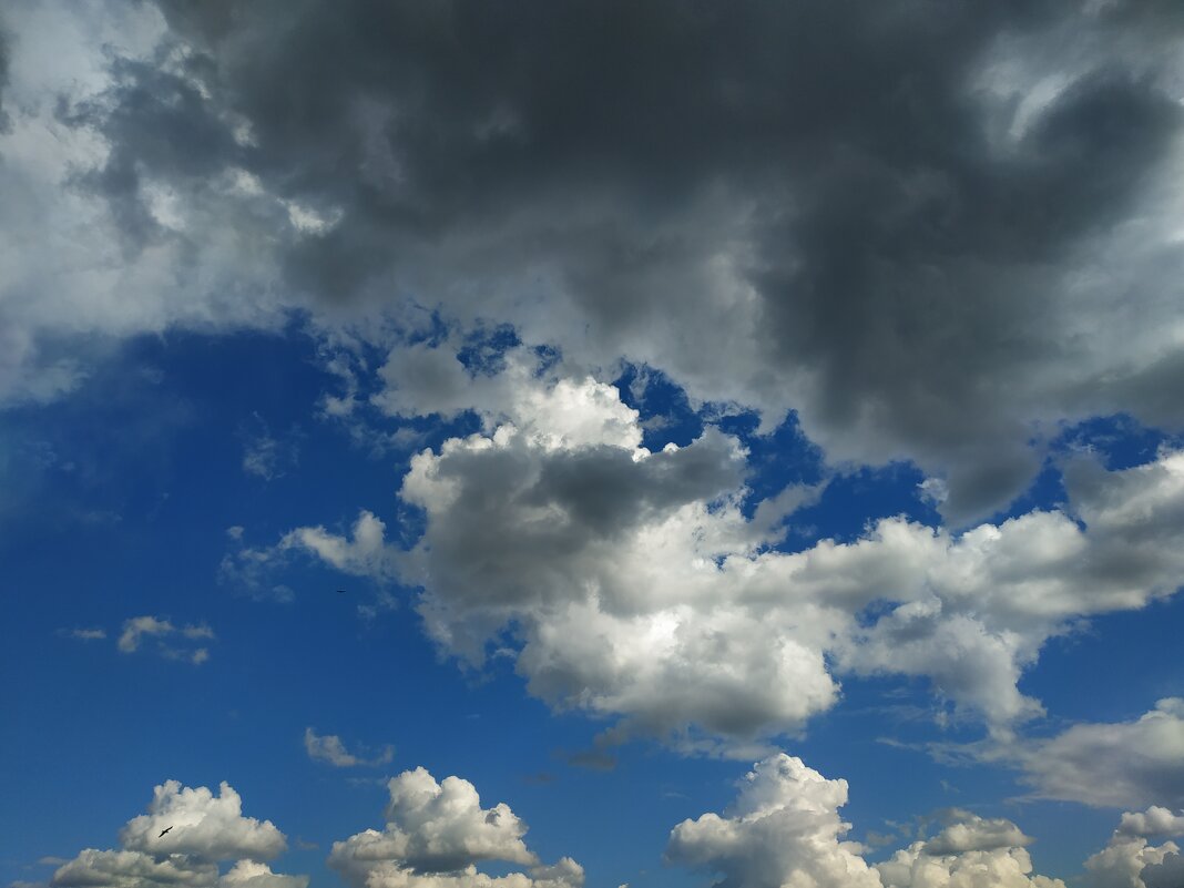 В мае я маюсь :-) - Андрей Лукьянов В мае я маюсь :-) - Андрей Лукьянов