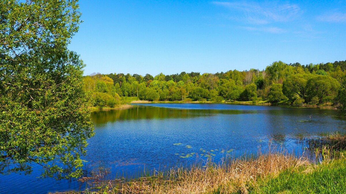 Май на Смоленщине (репортаж из поездок по области). - Милешкин Владимир Алексеевич 