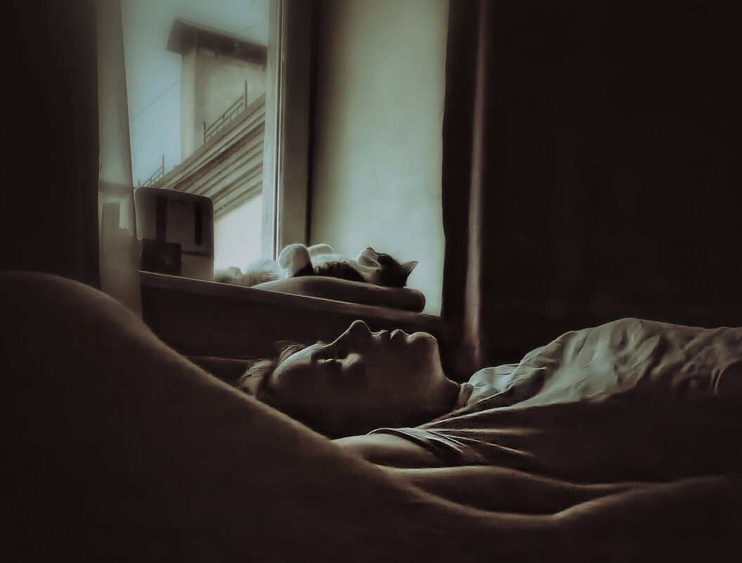 Спб. Белая ночь - ВЛАДИМИР 