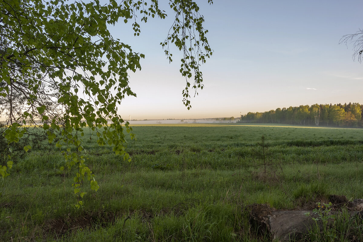 Утро майское - Валерий Иванович Утро майское - Валерий Иванович