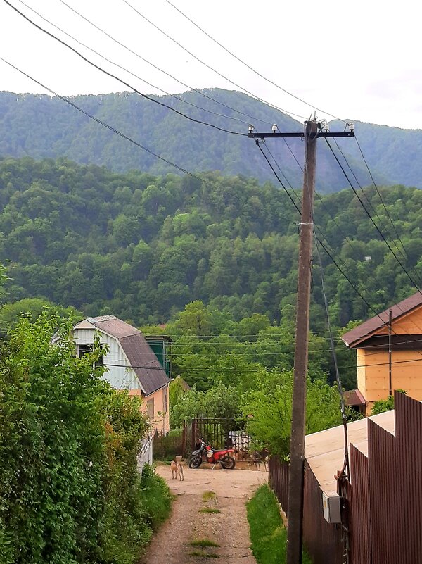 Поселок в горах - Tata Wolf