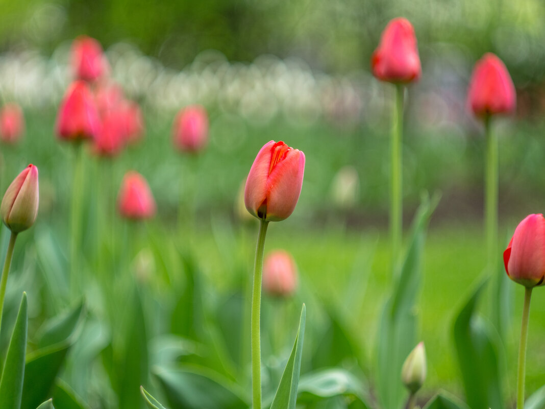 ___ - Yuriy V ___ - Yuriy V