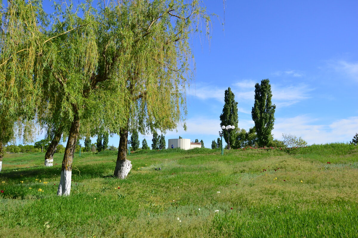 *** - Виктор *** - Виктор