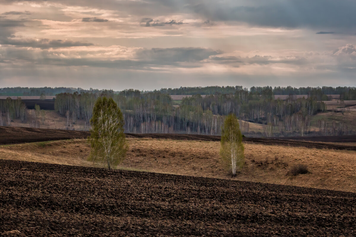 Весна - Марина Юдинских