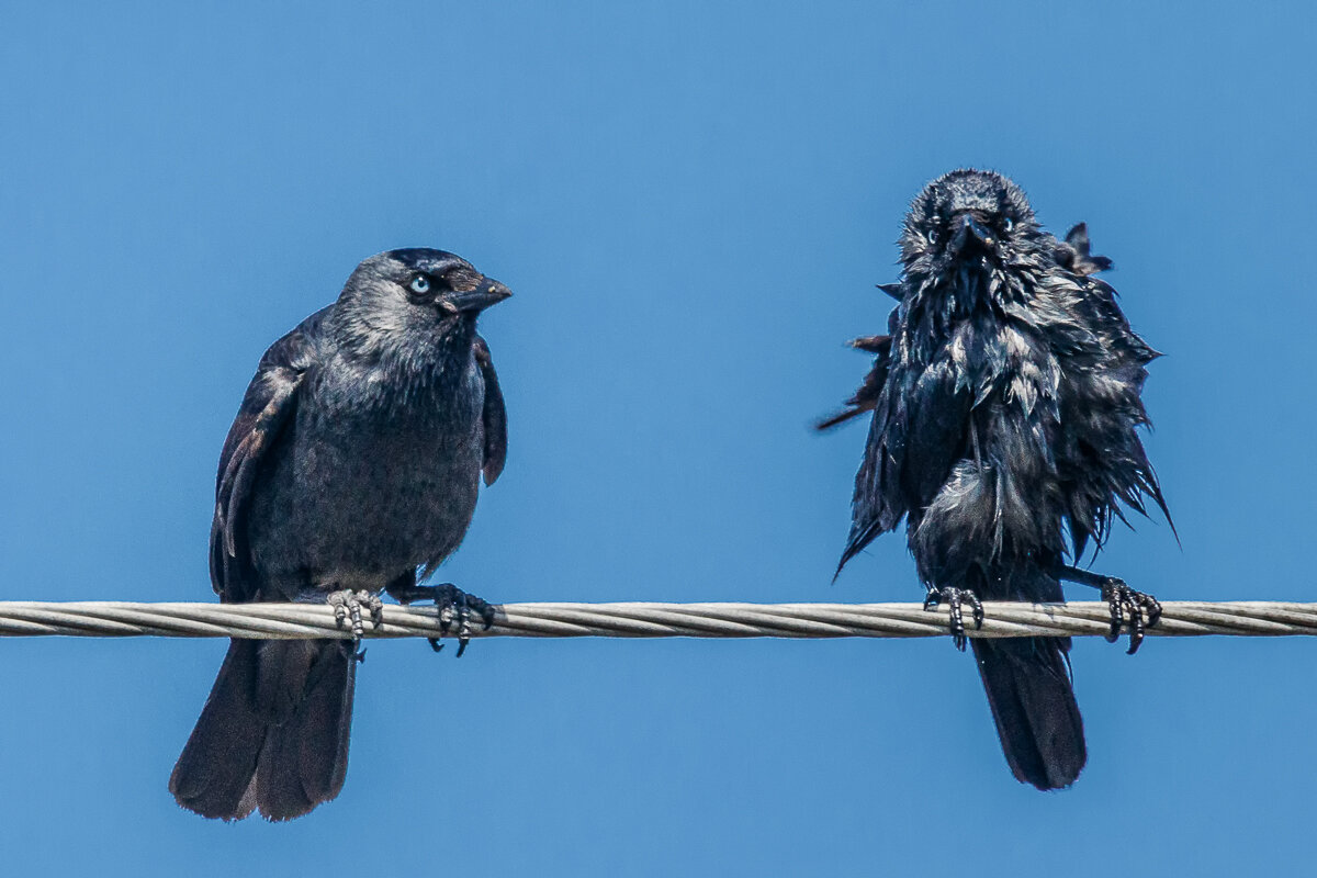 Ты кто? - Георгий Кулаковский Ты кто? - Георгий Кулаковский
