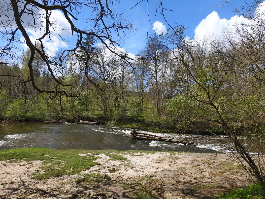 весна - ИННА ПОРОХОВА