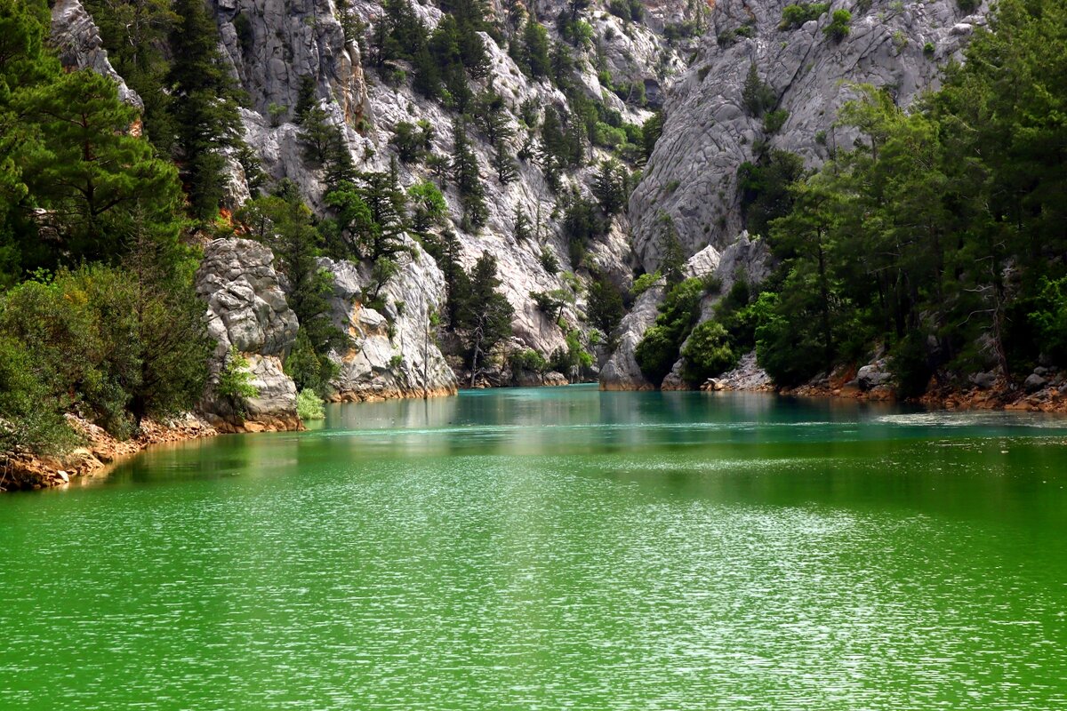 Из зелёной воды в голубую - Юрий. Шмаков