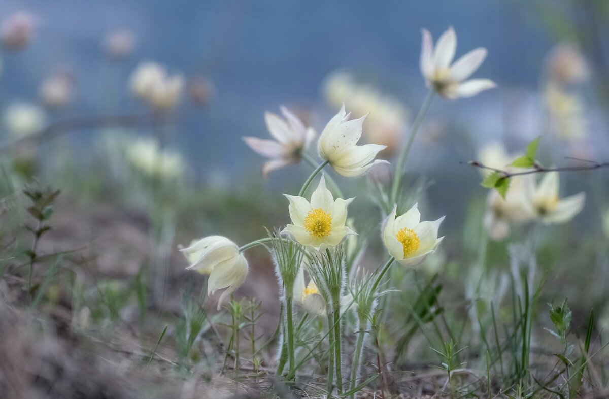 Весенний вальс - Марина Фомина. Весенний вальс - Марина Фомина.