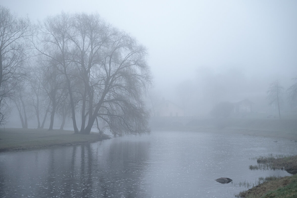 В тумане... - Виктор Желенговский В тумане... - Виктор Желенговский