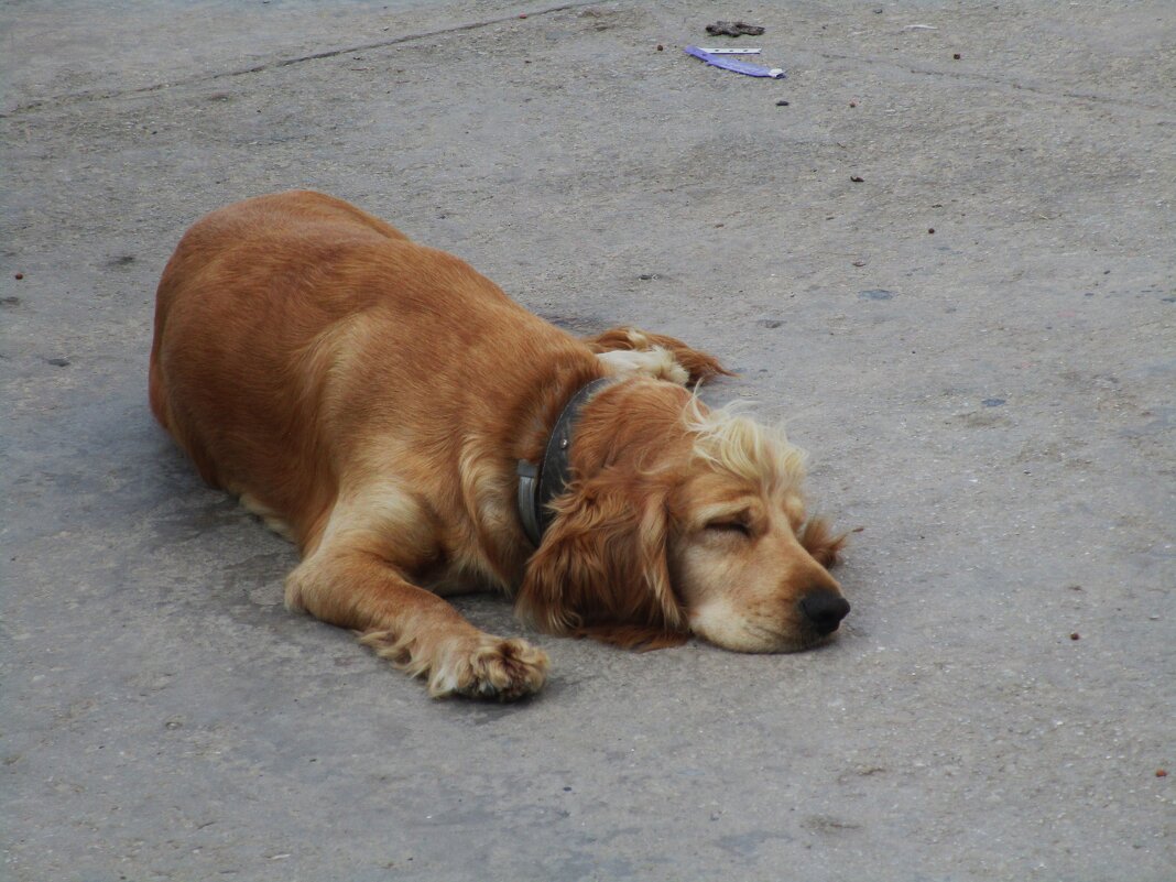 Мармарис июнь Турция - Елена Шаламова