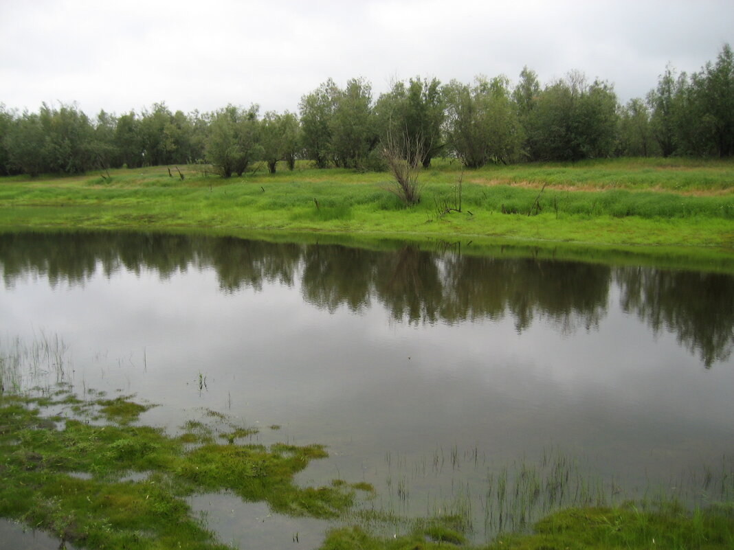 Лето - Anna Ivanova Лето - Anna Ivanova