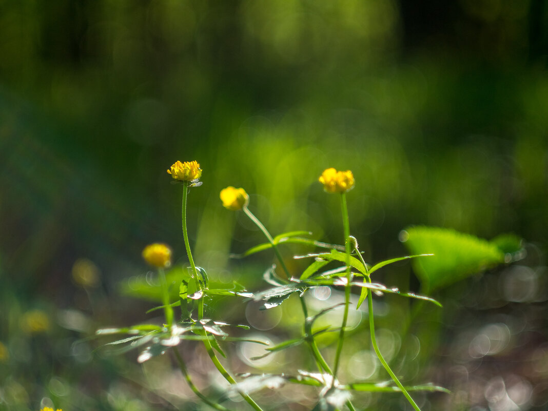 ___ - Yuriy V ___ - Yuriy V