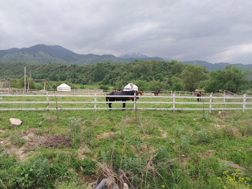 Talgar. - Murat Bukaev 