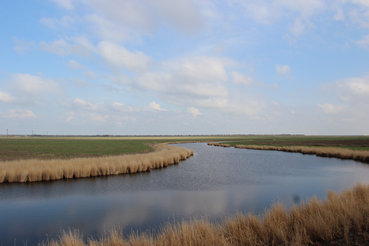 *** - Виктор *** - Виктор