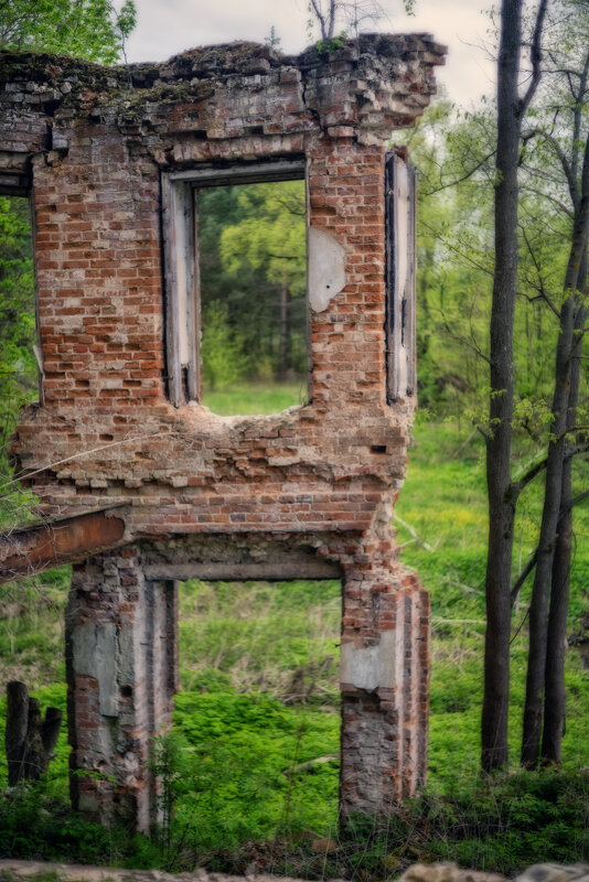 Останки усадьбы - sorovey Sol