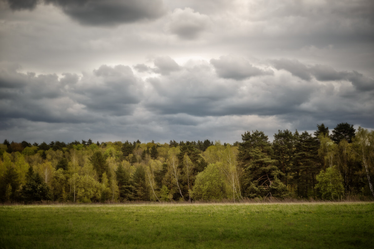 Почти летний пейзаж - sorovey Sol Почти летний пейзаж - sorovey Sol