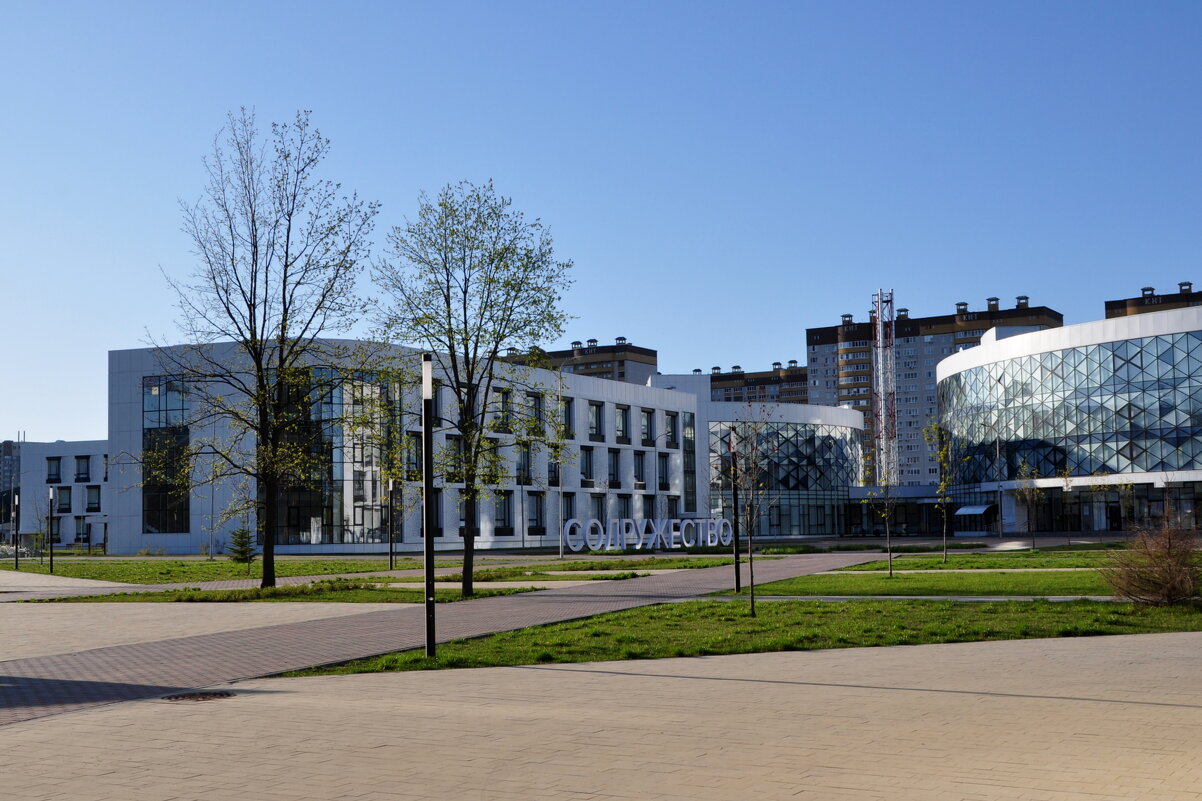 Мега-школа - Татьяна Машошина Мега-школа - Татьяна Машошина