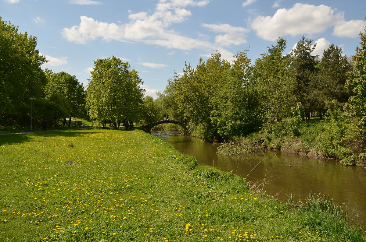 р. Городня - Oleg4618 Шутченко