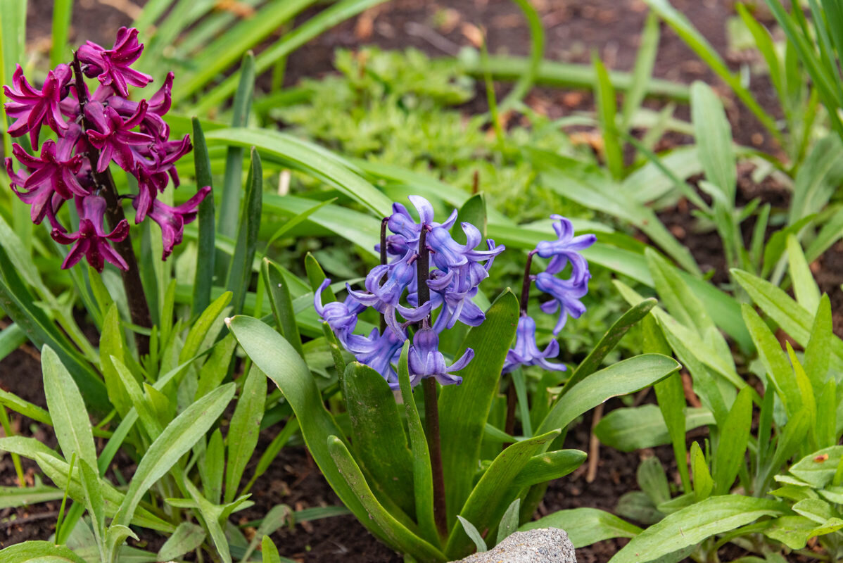 *** - Дмитрий Лупандин