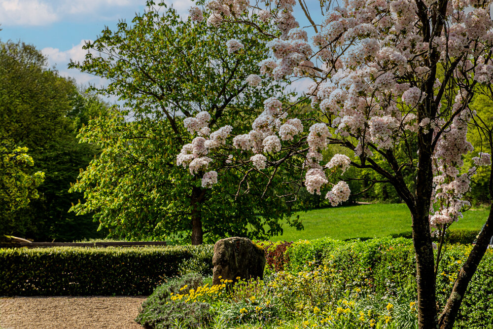 Весенний этюд. - Lucy Schneider 