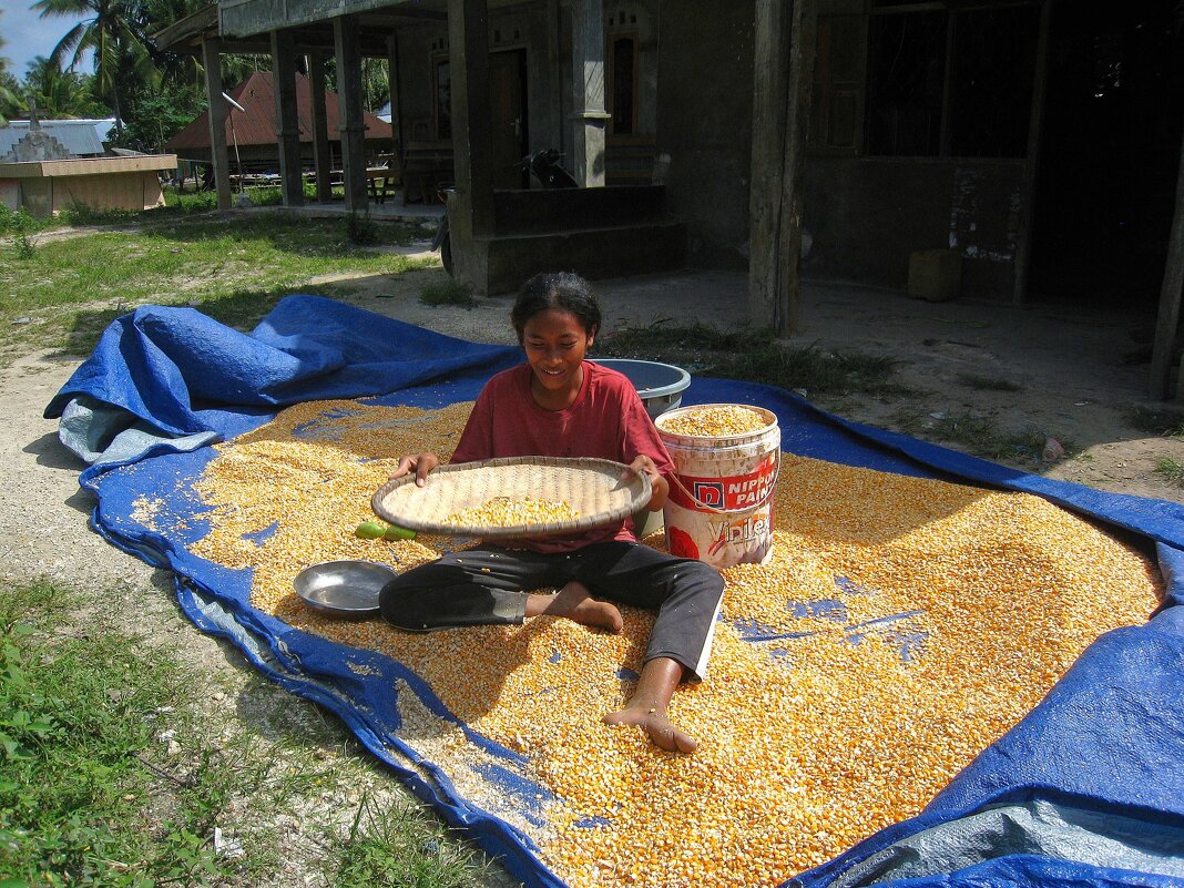 Девушка с кукурузой (1 часть). - unix (Илья Утропов)