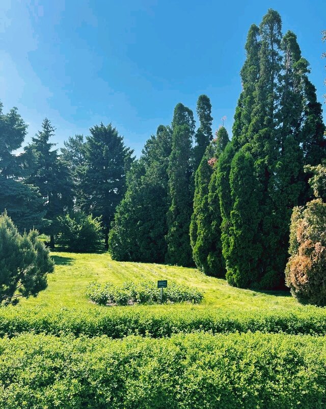 Краса природы - Георгиевич 