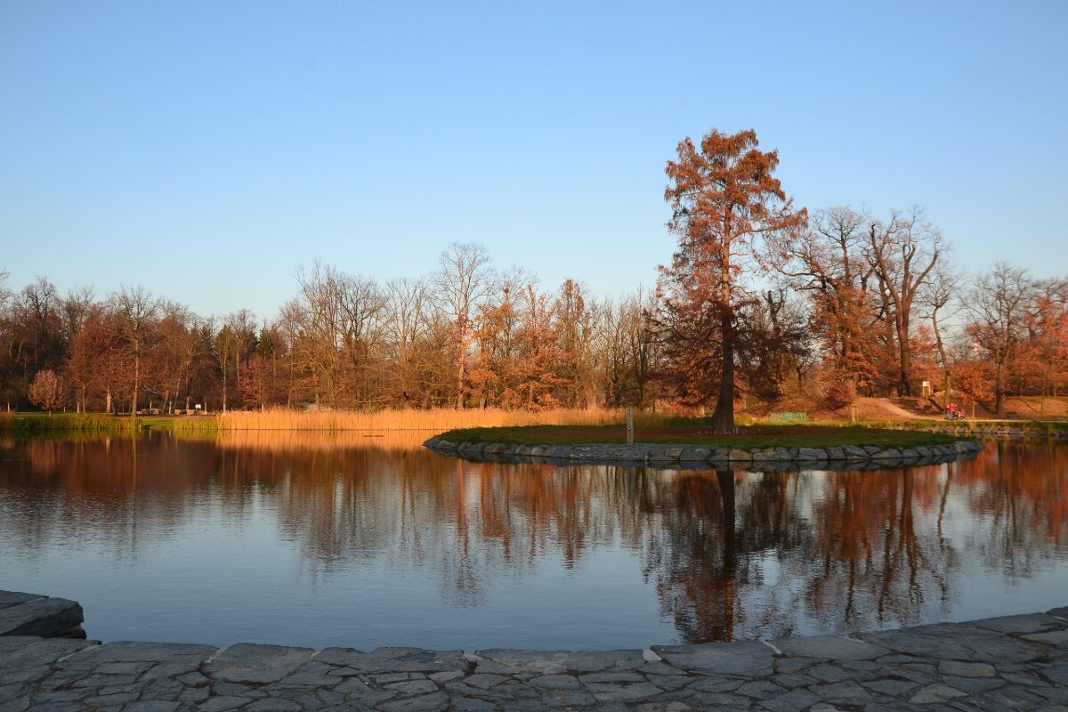 На территории Ботанического сада в Праге. - Надежда 