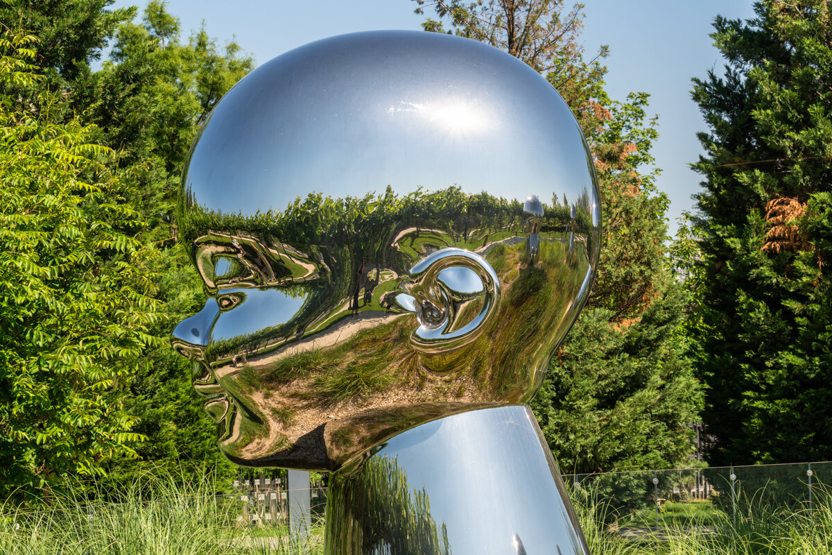 Проект Внутренний ребенок в парке Галицкого - Игорь Сикорский Проект Внутренний ребенок в парке Галицкого - Игорь Сикорский