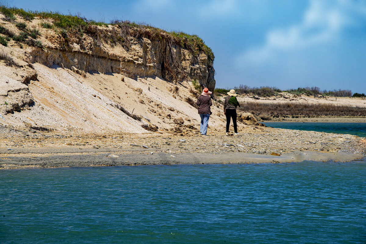 Прогулка - Анатолий Чикчирный