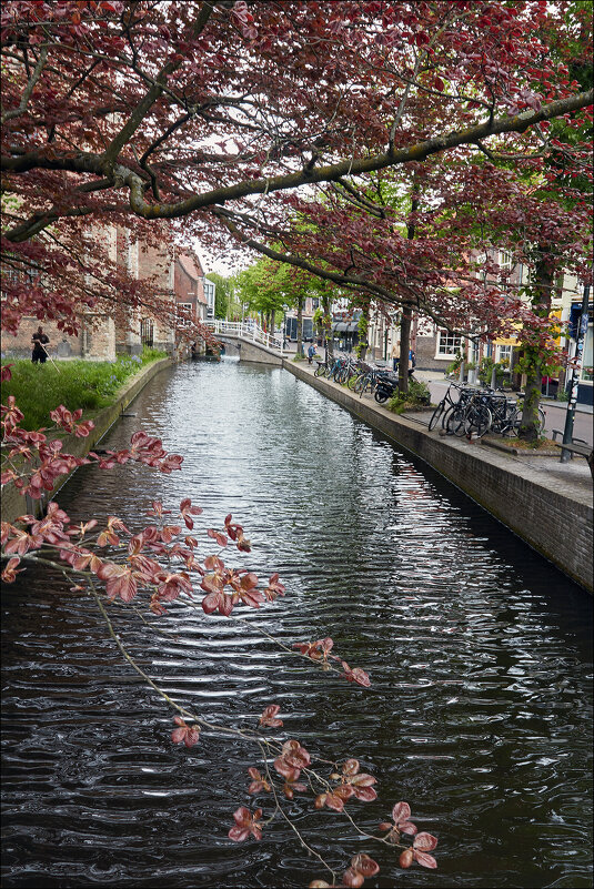 Каналы Дельфта. Голландия. - Валерий Готлиб