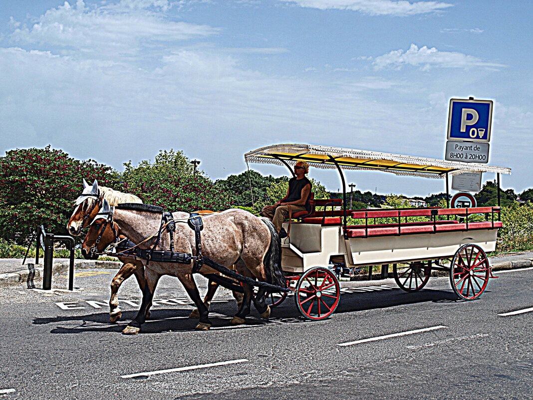 Местный транспорт. - Владимир Драгунский Местный транспорт. - Владимир Драгунский
