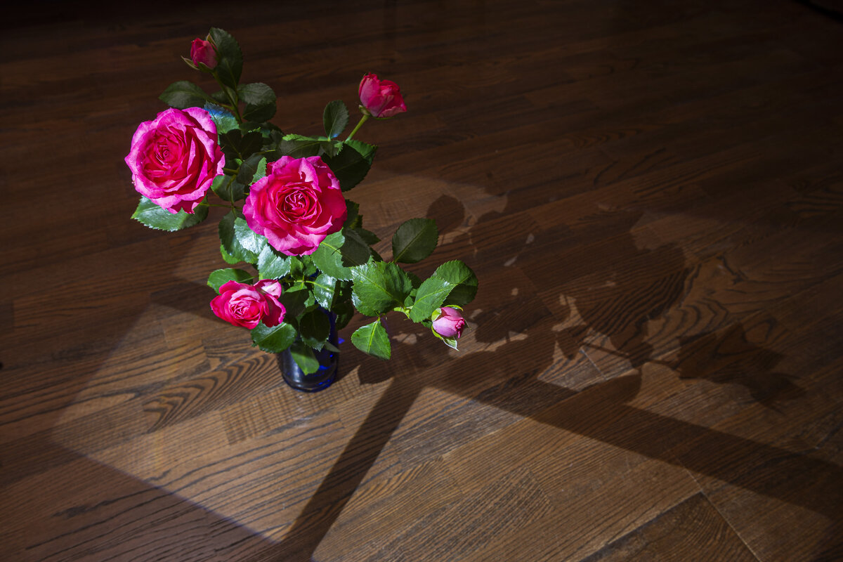 Розы - Николай Галкин 